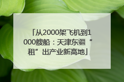 从2000架飞机到1000艘船：天津东疆“租”出产业新高地