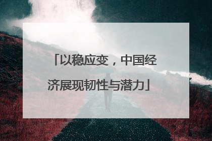 以稳应变，中国经济展现韧性与潜力