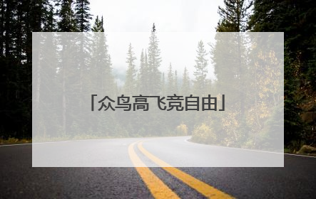 众鸟高飞竞自由