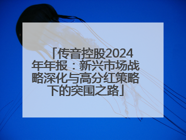 传音控股2024年年报：新兴市场战略深化与高分红策略下的突围之路