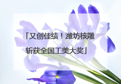 又创佳绩！潍坊核雕斩获全国工美大奖