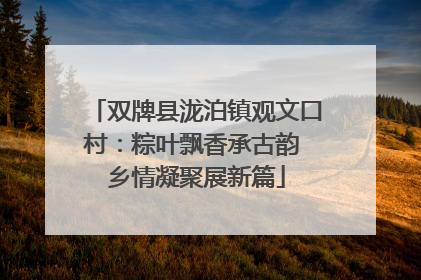 双牌县泷泊镇观文口村：粽叶飘香承古韵 乡情凝聚展新篇