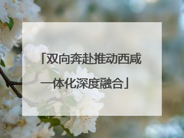 双向奔赴推动西咸一体化深度融合