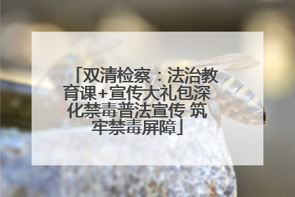 双清检察：法治教育课+宣传大礼包深化禁毒普法宣传 筑牢禁毒屏障