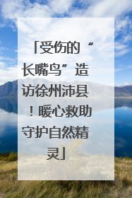 受伤的“长嘴鸟”造访徐州沛县！暖心救助守护自然精灵