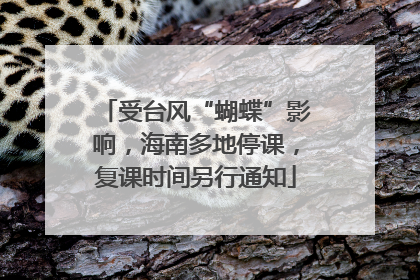 受台风“蝴蝶”影响，海南多地停课，复课时间另行通知