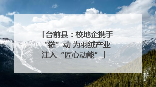 台前县：校地企携手“链”动 为羽绒产业注入“匠心动能”