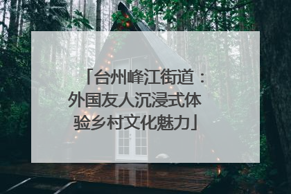 台州峰江街道：外国友人沉浸式体验乡村文化魅力