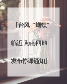 台风“蝴蝶”临近 海南四地发布停课通知