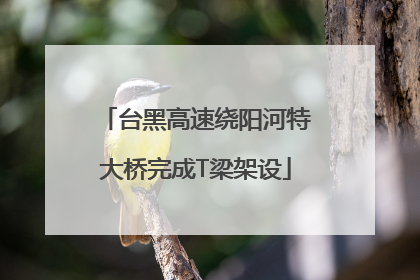 台黑高速绕阳河特大桥完成T梁架设