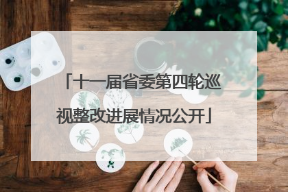 十一届省委第四轮巡视整改进展情况公开