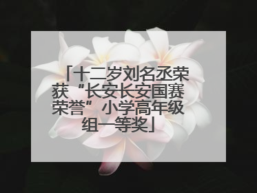 十二岁刘名丞荣获“长安长安国赛荣誉”小学高年级组一等奖