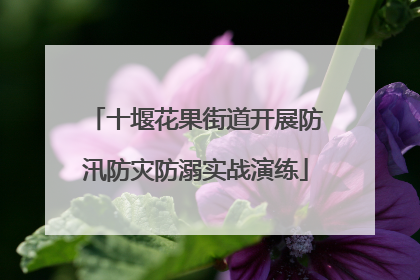 十堰花果街道开展防汛防灾防溺实战演练