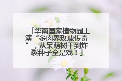 华南国家植物园上演“多肉界玫瑰传奇”，从呆萌树干到炸裂种子全是戏！
