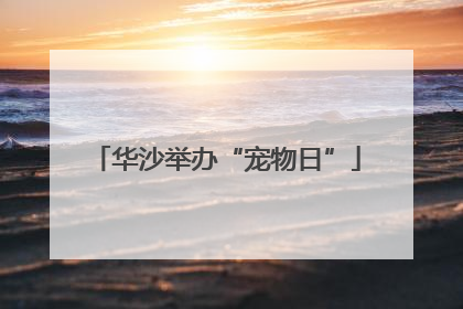 华沙举办“宠物日”
