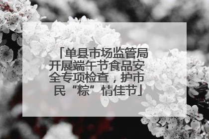 单县市场监管局开展端午节食品安全专项检查，护市民“粽”情佳节