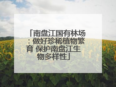 南盘江国有林场：做好珍稀植物繁育 保护南盘江生物多样性
