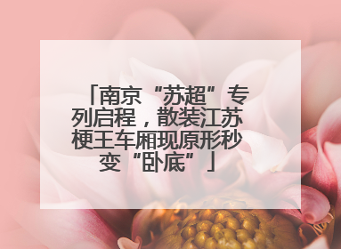 南京“苏超”专列启程，散装江苏梗王车厢现原形秒变“卧底”