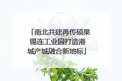 南北共建再传硕果 锡连工业园打造港城产城融合新地标