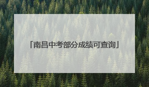 南昌中考部分成绩可查询