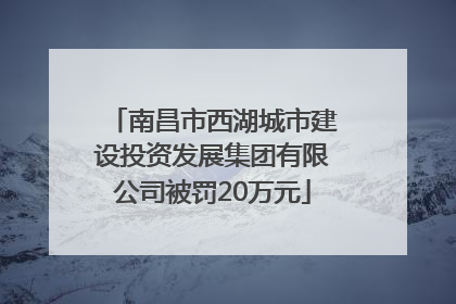 南昌市西湖城市建设投资发展集团有限公司被罚20万元