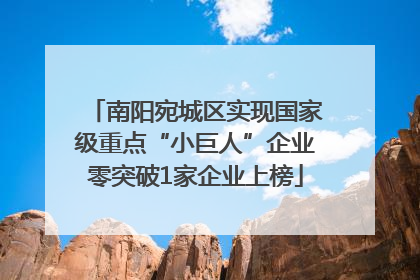 南阳宛城区实现国家级重点“小巨人”企业零突破1家企业上榜
