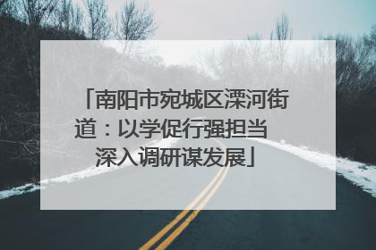 南阳市宛城区溧河街道：以学促行强担当 深入调研谋发展