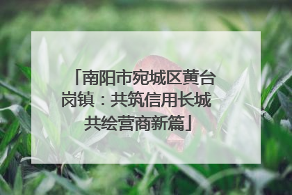 南阳市宛城区黄台岗镇：共筑信用长城 共绘营商新篇