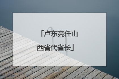 卢东亮任山西省代省长