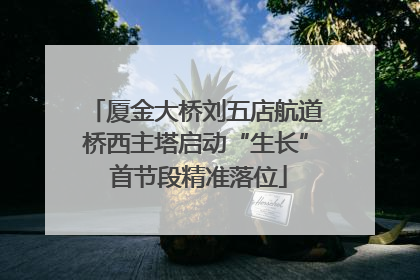 厦金大桥刘五店航道桥西主塔启动“生长” 首节段精准落位