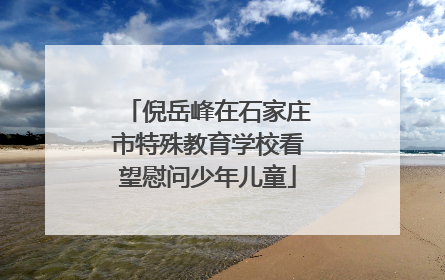 倪岳峰在石家庄市特殊教育学校看望慰问少年儿童