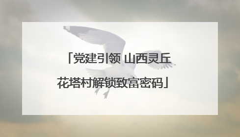 党建引领 山西灵丘花塔村解锁致富密码