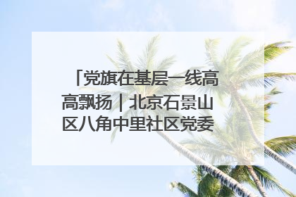 党旗在基层一线高高飘扬｜北京石景山区八角中里社区党委：用脚步丈量民生