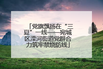 党旗飘扬在“三夏”一线——宛城区溧河街道党群合力筑牢禁烧防线