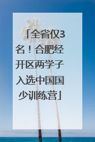 全省仅3名！合肥经开区两学子入选中国国少训练营