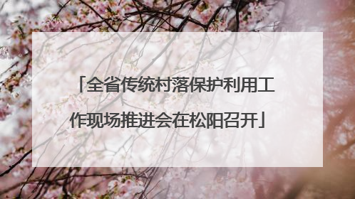 全省传统村落保护利用工作现场推进会在松阳召开