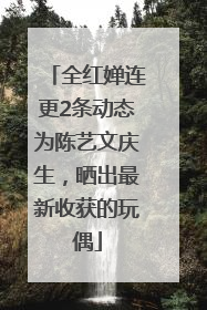 全红婵连更2条动态为陈艺文庆生，晒出最新收获的玩偶