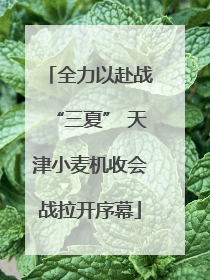 全力以赴战“三夏” 天津小麦机收会战拉开序幕