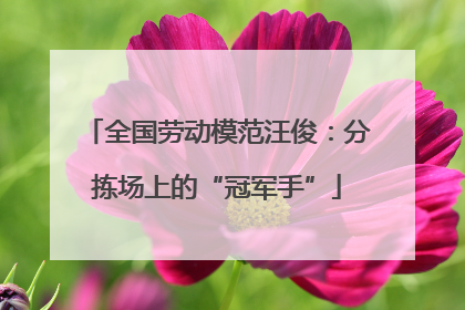 全国劳动模范汪俊：分拣场上的“冠军手”