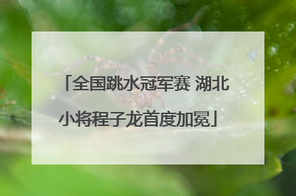 全国跳水冠军赛 湖北小将程子龙首度加冕