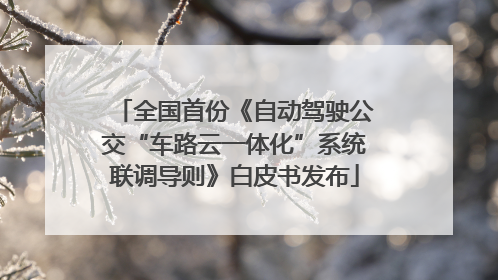 全国首份《自动驾驶公交“车路云一体化”系统联调导则》白皮书发布