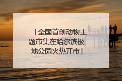 全国首创动物主题市集在哈尔滨极地公园火热开市
