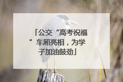 公交“高考祝福”车厢亮相，为学子加油鼓劲