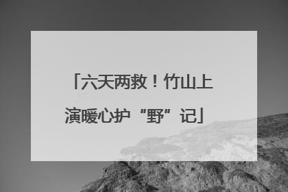 六天两救！竹山上演暖心护“野”记