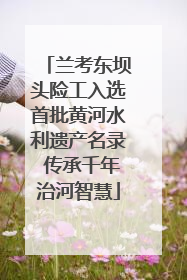 兰考东坝头险工入选首批黄河水利遗产名录 传承千年治河智慧