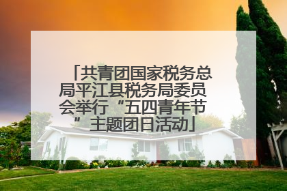共青团国家税务总局平江县税务局委员会举行“五四青年节”主题团日活动