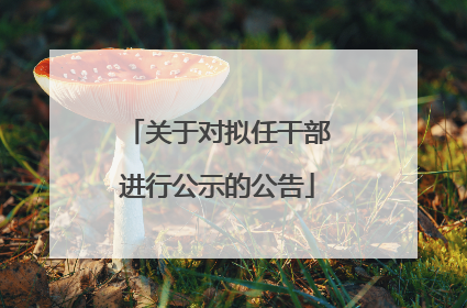 关于对拟任干部进行公示的公告