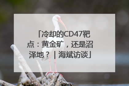 冷却的CD47靶点：黄金矿，还是沼泽地？｜海斌访谈