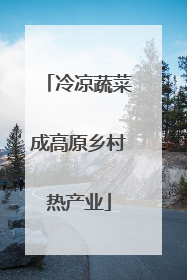 冷凉蔬菜成高原乡村热产业