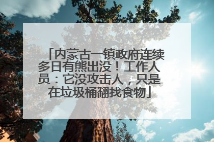 内蒙古一镇政府连续多日有熊出没！工作人员：它没攻击人，只是在垃圾桶翻找食物